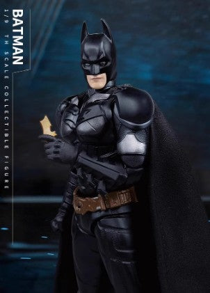 DC COMICS BATMAN THE DARK KNIGHT PVCFW029 PVC Action Figure 1/9 20.5cm